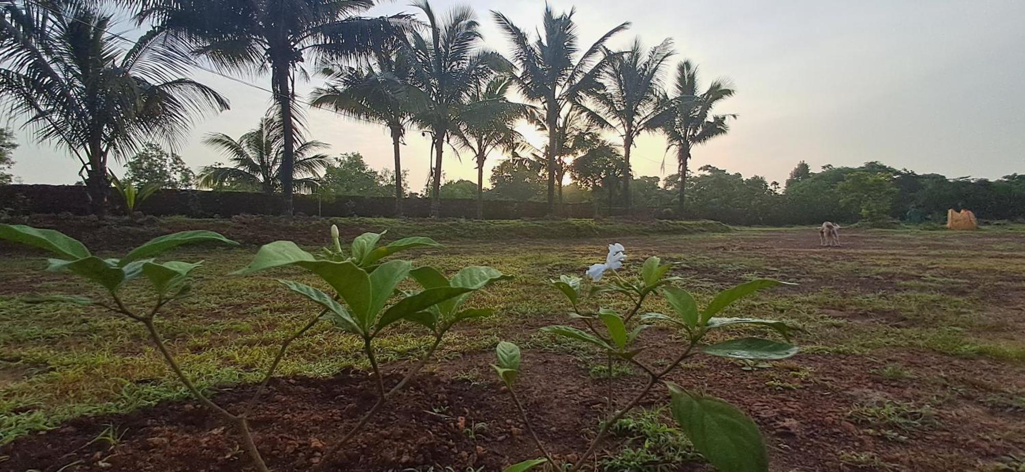 Arpita Farmstay Mālvan المظهر الخارجي الصورة