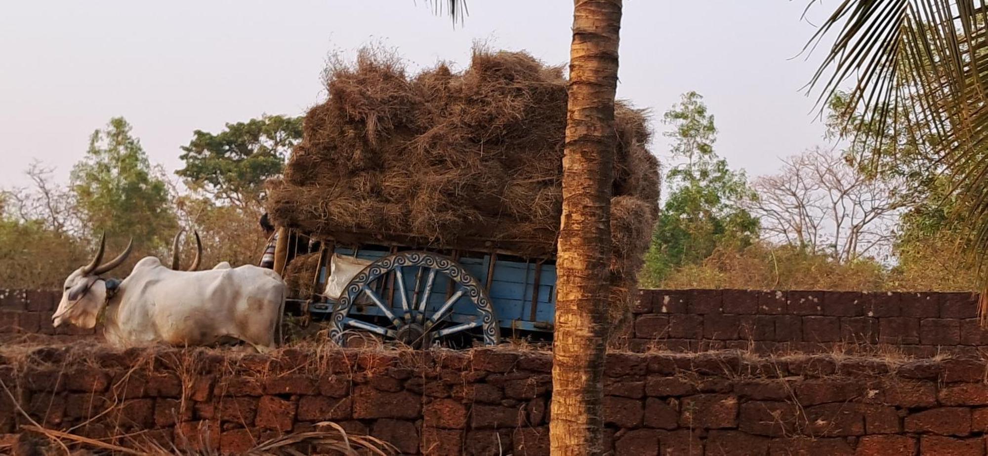 Arpita Farmstay Mālvan المظهر الخارجي الصورة
