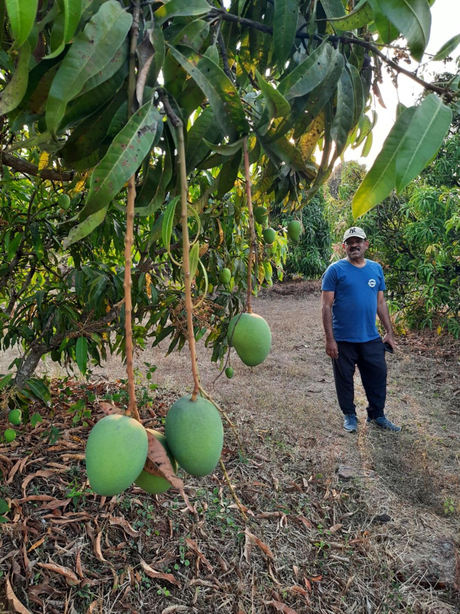 Arpita Farmstay Mālvan المظهر الخارجي الصورة