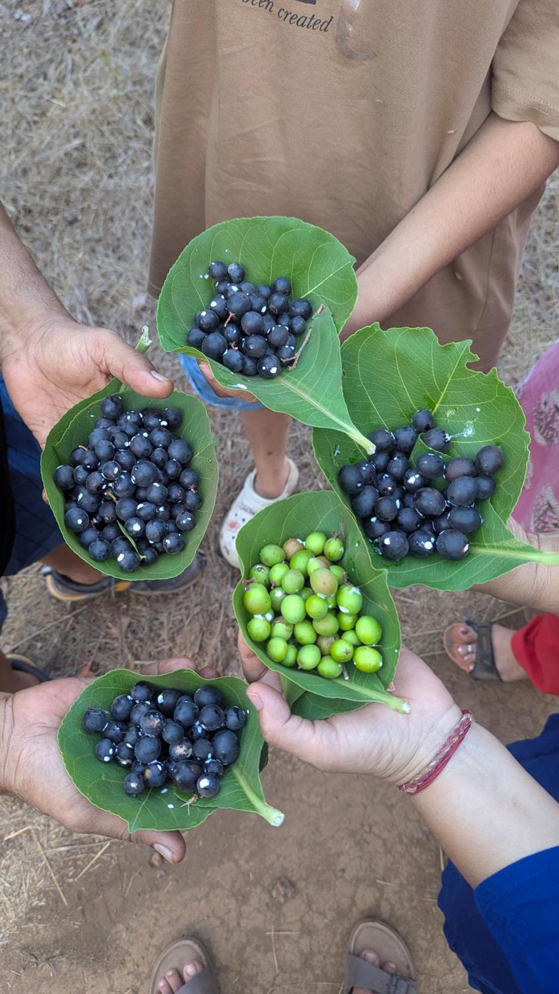 Arpita Farmstay Mālvan المظهر الخارجي الصورة